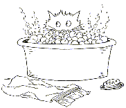 INKY-PINKY-POOH - cat has a bath