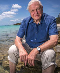 Naturalist David Attenborough