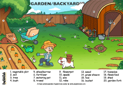 Garden/Backyard Vocab