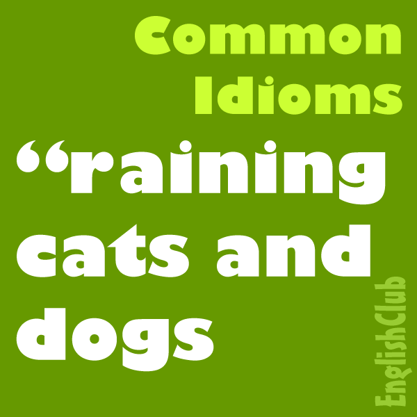 common idioms